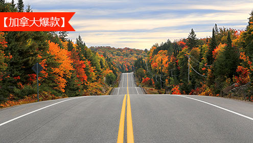 旧金山热门酒店推荐