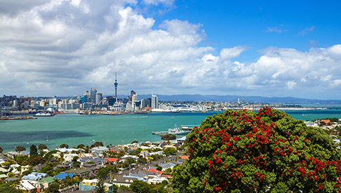 旧金山热门酒店推荐