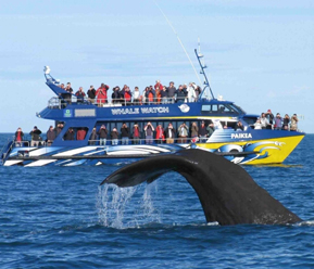 广州直飞洛杉矶+旧金山13天自由行