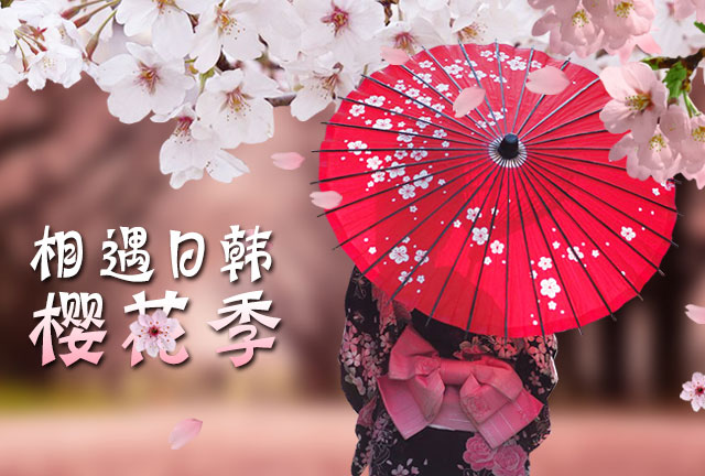 相遇日韩樱花季_国际机票-南航官网