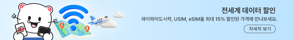 전세계 데이터 할인
