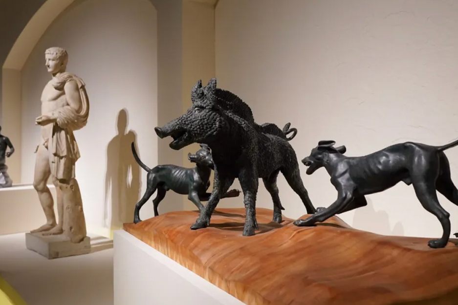 Exhibition highlight 2