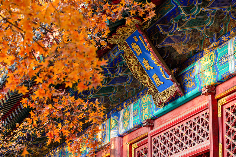 Beijing cityscape 2